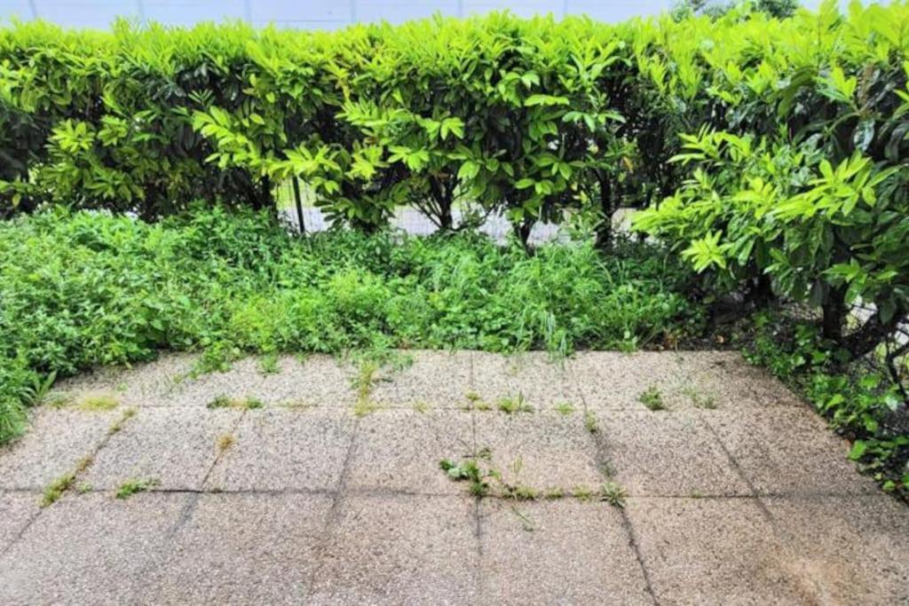 Appartement Cosy Proche Paris 勒布尔热 外观 照片